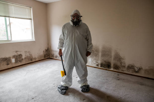 Asbestos and Lead Testing During Mold Inspection in Angwin, CA